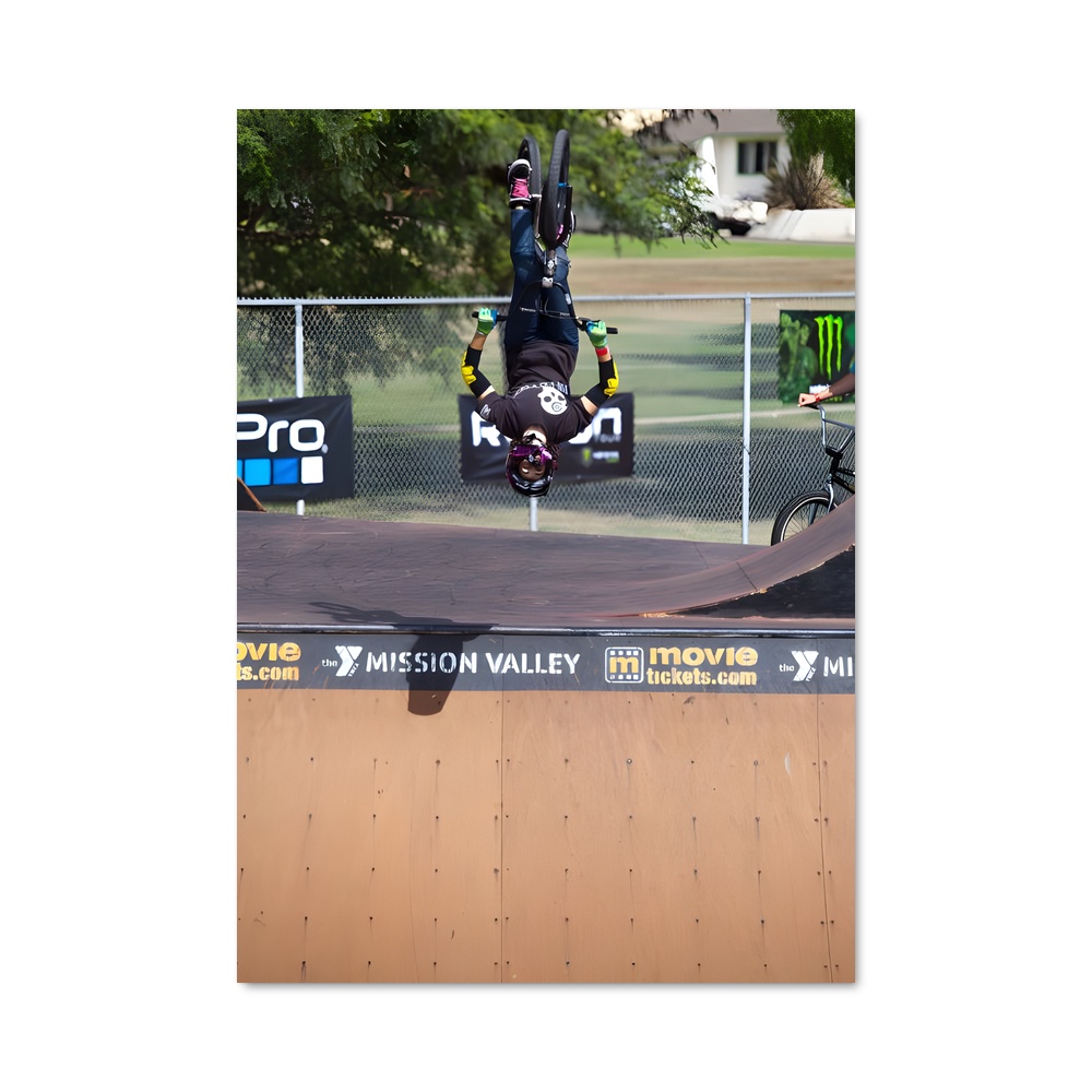 Poster Trickster en Skate